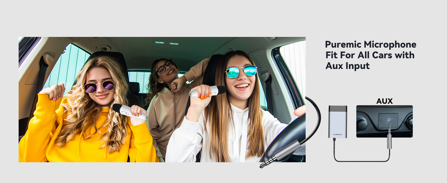 tesla car karaoke modely