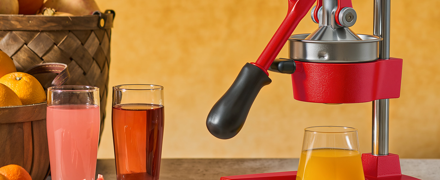 CITRUS JUICER