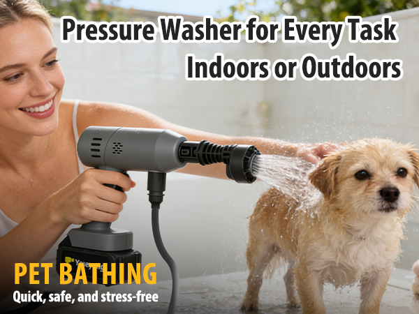 portable pressure washer