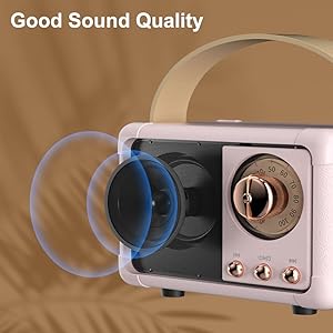 portable wireless speaker