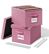 Huolewa Upgraded File Organizer Boxes Set of 2, File Boxes with Lids, Linen Hanging File Organize...