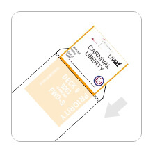 Cruise luggage tags