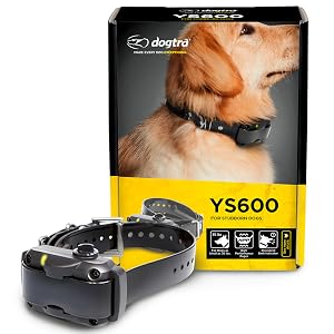 dogtra