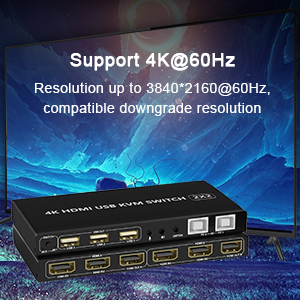 kvm switch 2 monitors 2 computers