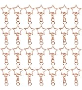 60Pcs Star Shaped Spring Snap Keychain Clip,Metal Swivel Clasp Snap Hook Key Ring with Chain Hang...