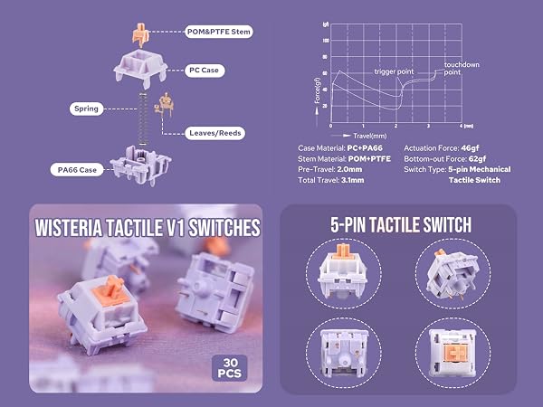 Technical diagram and images of Wisteria tactile V1 switches and 5-pin tactile switch components, showing multiple views and specifications on purple background.
