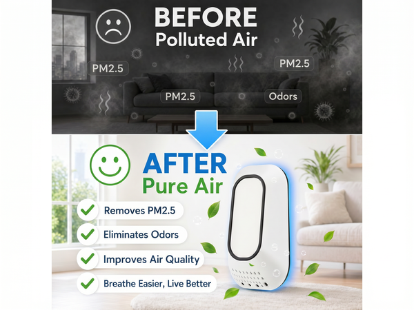 air ionizers for dust