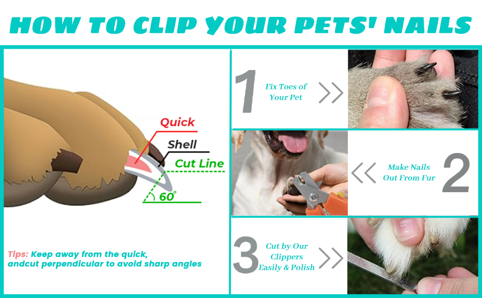 dog clippers for nails