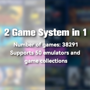 2 game system in 1