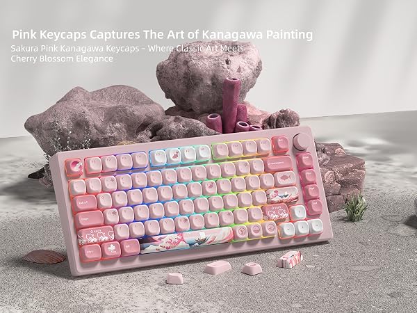 PBT Keycaps for Mechanical Keyboard,75 Percent Dye-Sublimation Custom Keycaps Set