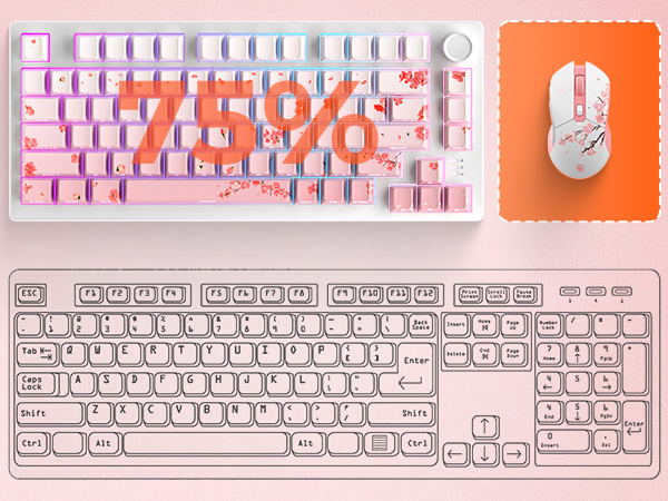 75% LAYOUT