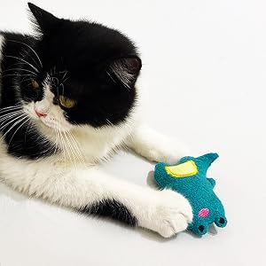 cat toys