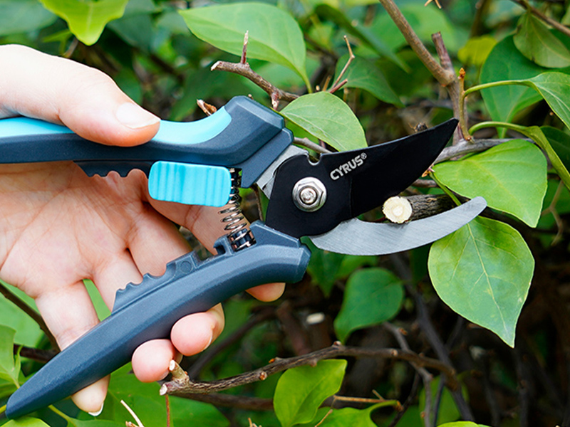 shears
