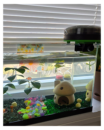 fish food vacation feeder
