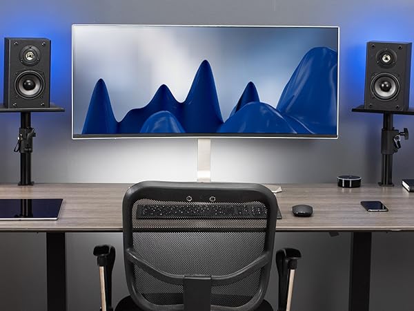 speaker mounts