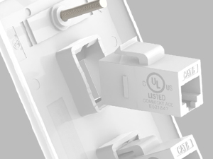 CAT6 WALL PLATE