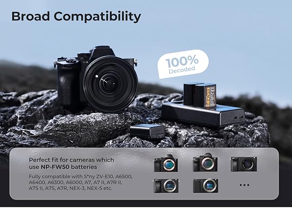 fit for cameras with npfw50 battery