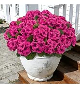 Roberly 6 Pcs Artificial Flowers for Outdoors, Fuchsia Fake Geranium Flowers UV Resistant Realist...
