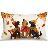 RABUSOFA Fall Pillow Covers 12x20 Inch Autumn Decorations for Home Harvest Outdoor Thanksgiving D...