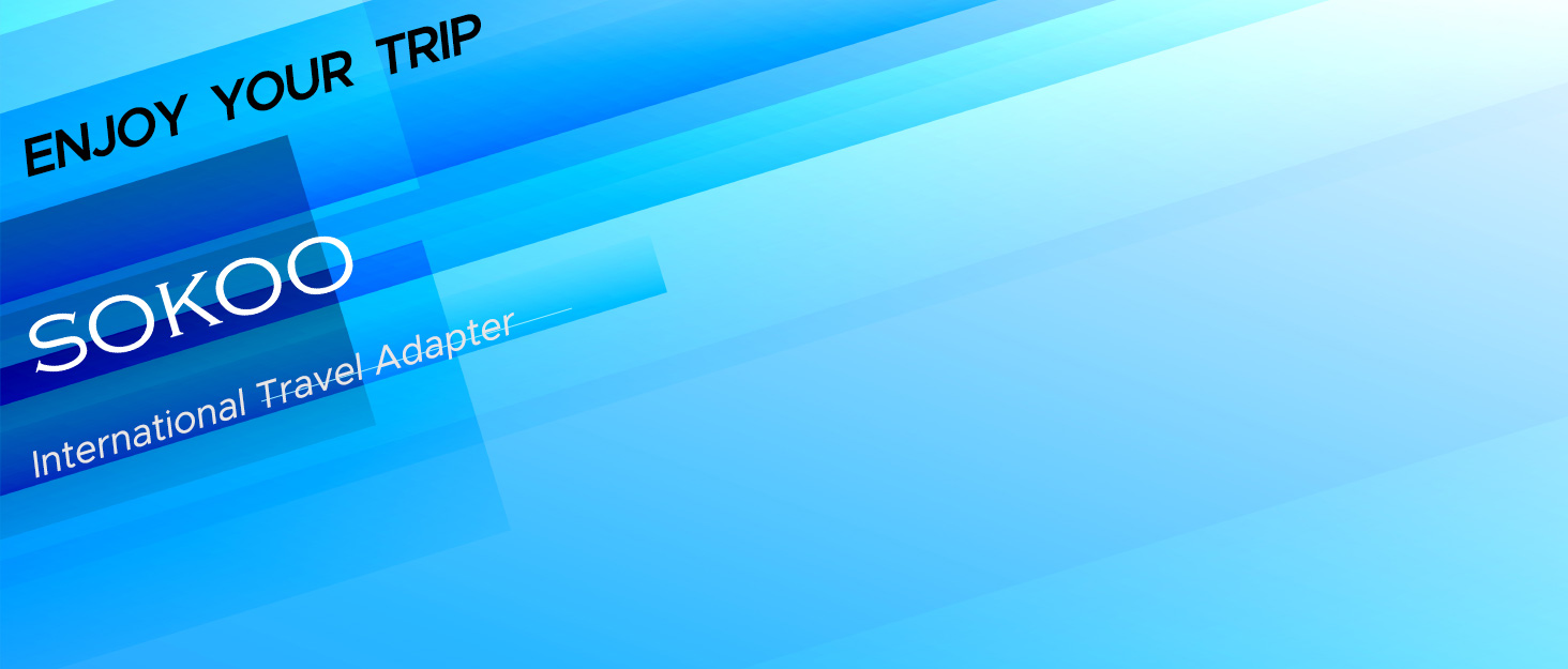 International Travel Adapter 220v to 110v voltage converter power converter