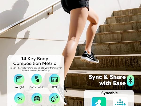 arboleaf weight scale with body fat and muscle
