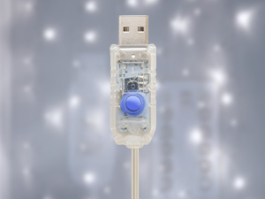 indoor twinkle fairy light