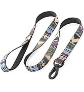 Embark Adventure Dog Leashes - Colorful, Strong and Sturdy Dog Leash for Small, Medium and Large ...