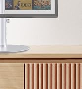 echo show 15 stand