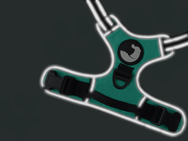 dog harness