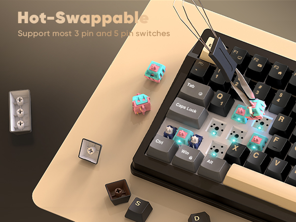 Hot-swappable Switch