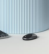 Satechi M1 Wireless Bluetooth Mouse, USB-C Rechargeable, Compact & Portable, for MacBook Air/Pro ...