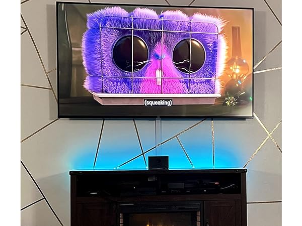 TV Cord Hider