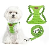 PUPTECK Dog Harness and Leash Set Small Sized, Step-in Cute Puppy Harness, Soft Lightweight Padde...