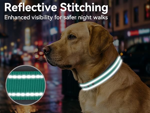 dog collar