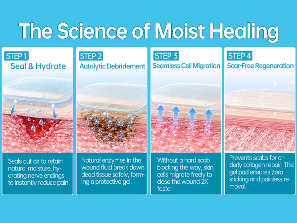 Moist Healing