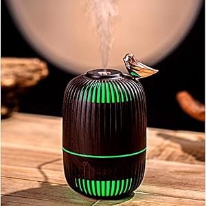 humidifier small dreo humidifier desk humidifier mini humidifier for bedroom train humidifier plant
