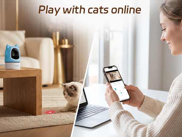 Play with your cat