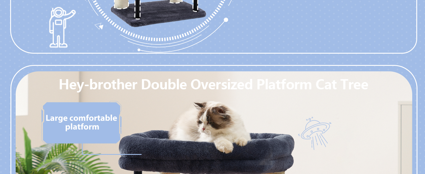 cat bed