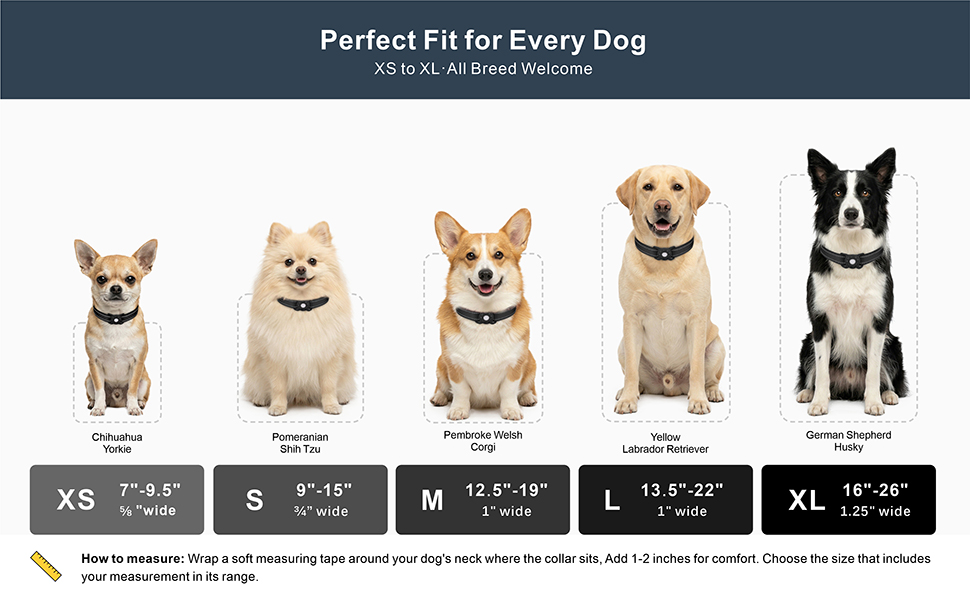 airtag dog collar