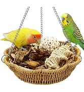 Jevnd 20Pcs Bird Foraging Toy Set with Hanging Basket, Natural Shredding & Chew Enrichment Toys f...