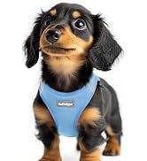 rabbitgoo Small Dog Harness, Step-in Soft Mesh Puppy Vest, Easy Walk with Safety Buckle, Breathab...
