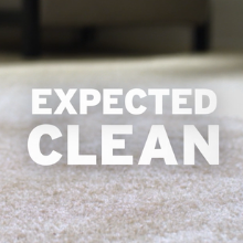 carpet cleaner
