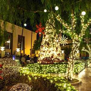 solar garden lights