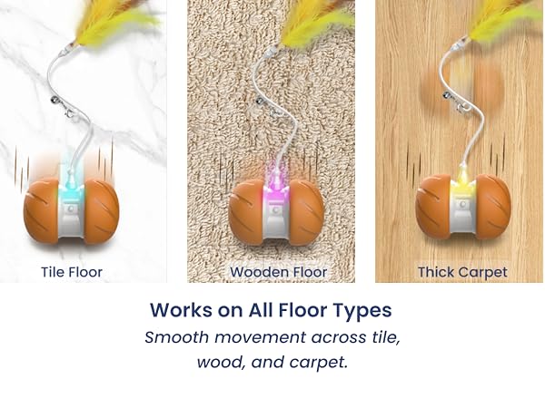 Cat toy for all floor types