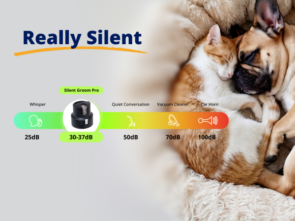 heusom silent groom pro
