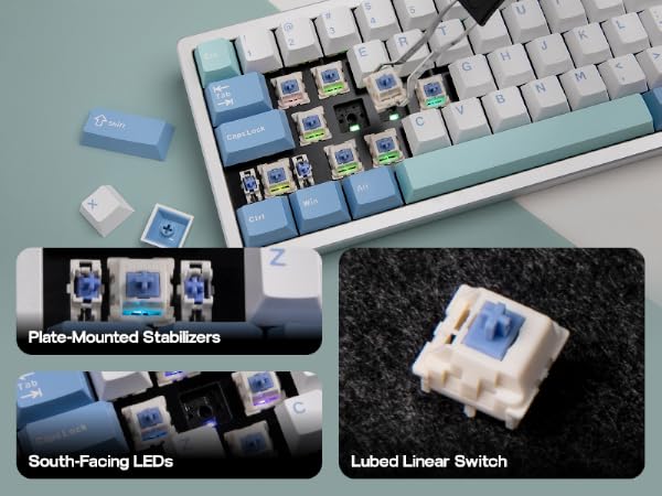 Mechanical keyboard with blue keycaps. Features highlighted: Plate-mounted stabilizers, south-facing LEDs, and lubed linear switch. Disassembled parts shown.