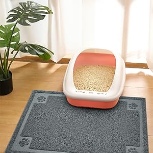cat litter mat