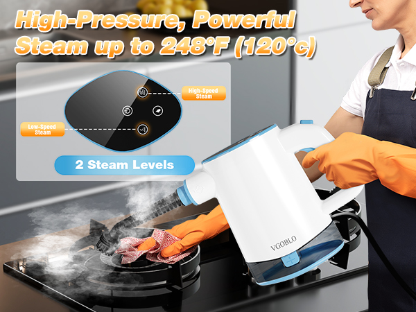 handheld steam cleaner