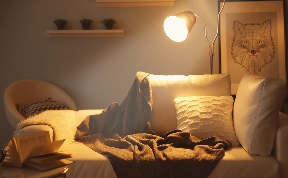 LED light bulb
