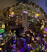 Solar Garden Lights